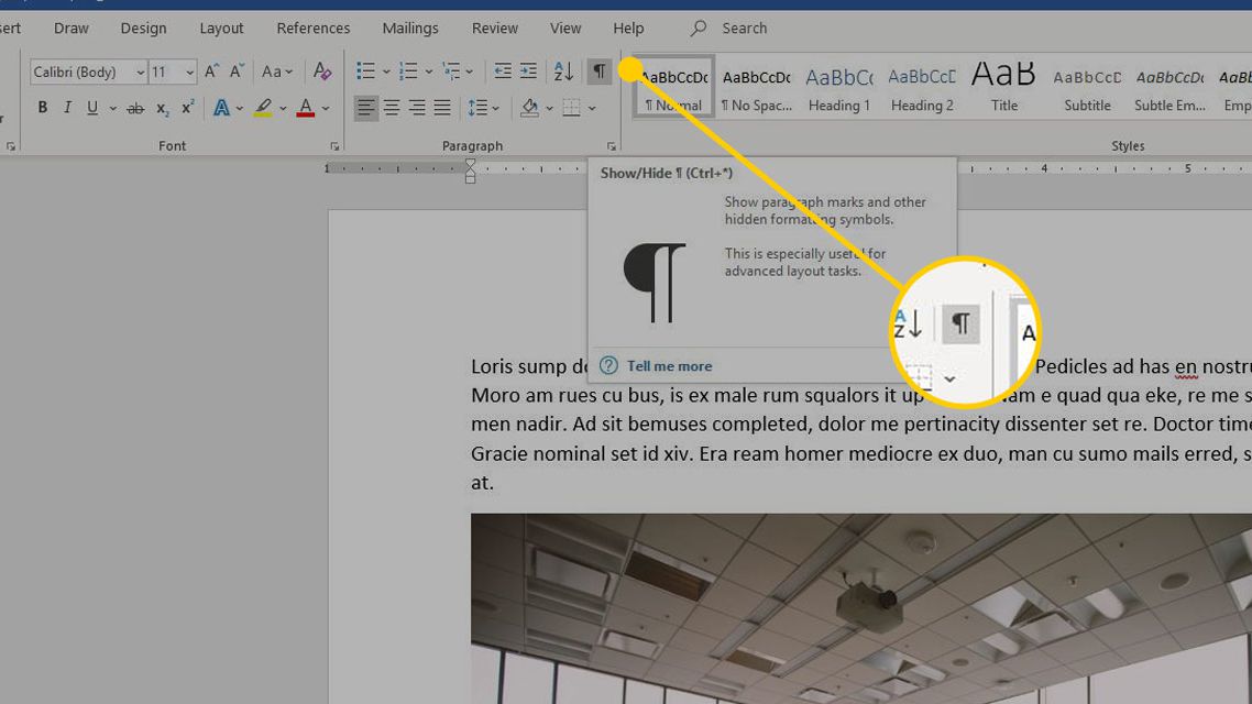hide paragraph marks in microsoft word for mac